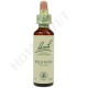 Bach Flower Remedies for Animals - Wild Rose